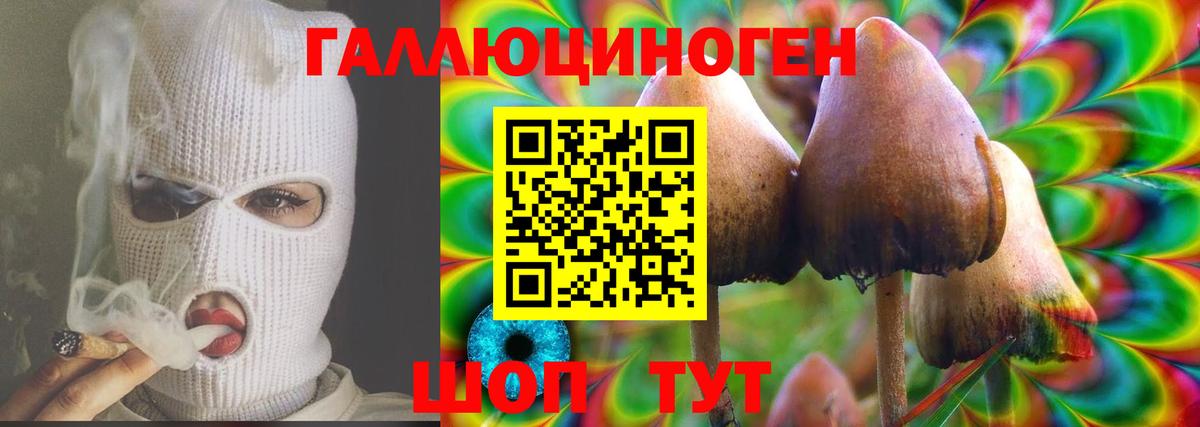 Галлюциногенные грибы мицелий Якутск