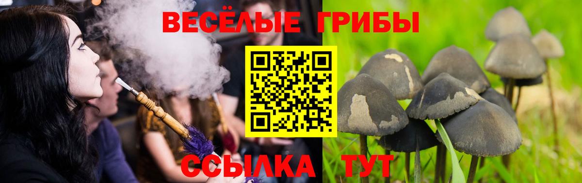 Якутск  Псилоцибиновые грибы MAGIC MUSHROOMS  продажа наркотиков  Вход с VPN  Галлюциногенные грибы Magic Shrooms 